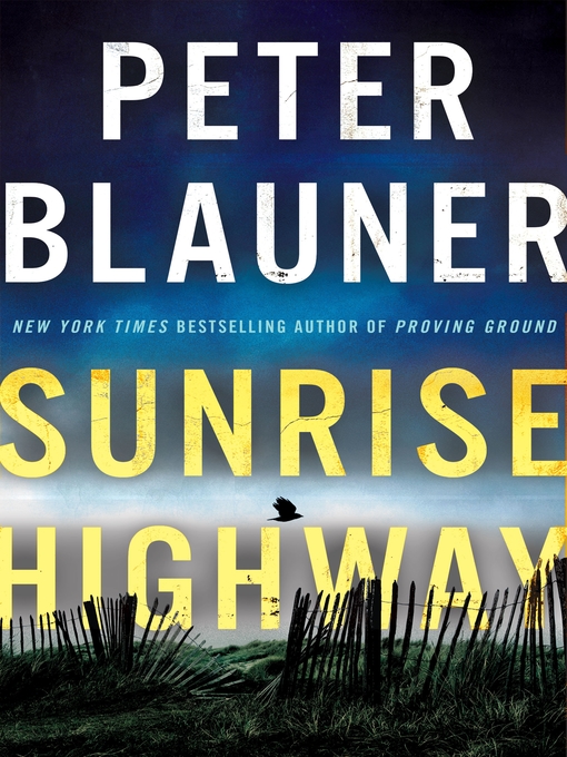 Title details for Sunrise Highway by Peter Blauner - Available